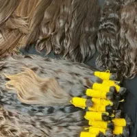 موی طبیعی