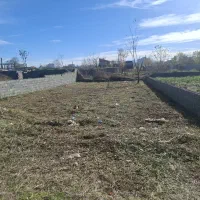 خدمات چمن زنی،علف زنی با دستگاه و سمپاشی