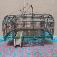 قفس|لوازم جانبی حیوانات|بروجرد, |دیوار