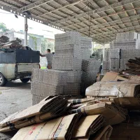 نیازمند حسابدار خانم