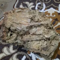 سنگ