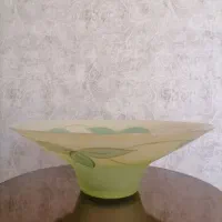 میوه خوری های شیک چک