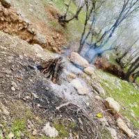 زمین-خوران