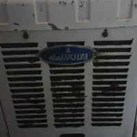 کولرابی