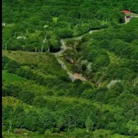 فروش باغ اول دهنوراه فنس کشی و دارای خانه
