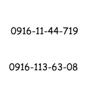 09161136308