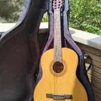 گیتار  نو
