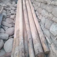 چوب و نی انبار