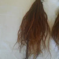 مو طبیعی فوری فروشی
