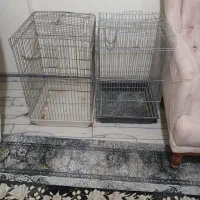 قفس پرنده