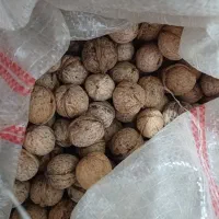 گردو وکشمش