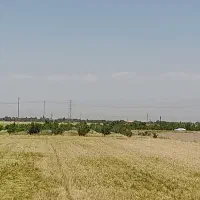 زمین-گلخانه-و-باغ