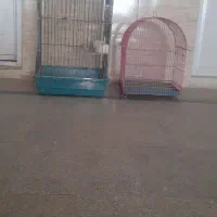 دو عدد قفس