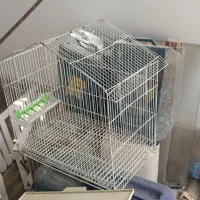 قفس کلبه ای