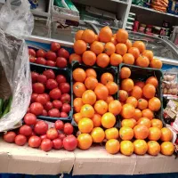 استخدام فروشنده ی آقا مسلط ب زبان عربی شیفت شب