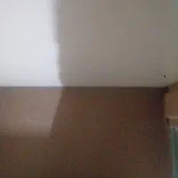 موکت