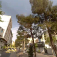 ۵۰ متر پاخور بی نظیر بر ۸ تمام شغل ها (گلدشت)