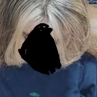 خدمات رنگ و لایت