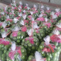 اجاره-گر-میوه-باغ