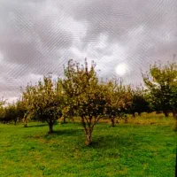 زمین-500-متری