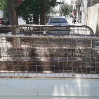 کفیو باربند باهم