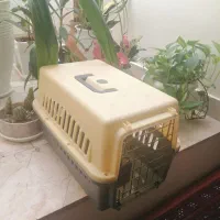لوازم گربه خانگی