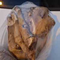 کله پاچه قشقایی