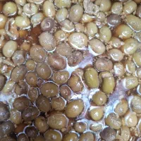 خوراک دام