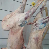 گوشت چرخ کرده
