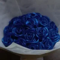 گل رباتی