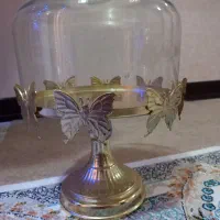 ظرف کیک نو