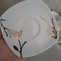 سرویس ۱۲نفره چینی پردیس