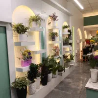دکور گل فروشی