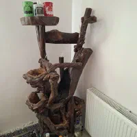 بار چوبی