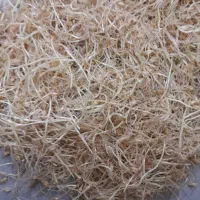 ۵کیلو جوانه گندم خشک شده آماده اسیاب برای  چماچ