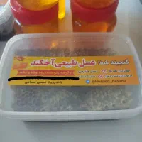 عسل طبیعی به ضمانت