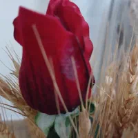 سیم کارت کد ۱ و۲ نقدو اقساط