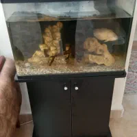 اکواریوم دلسا به  همراه  وسایل