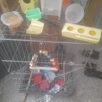 قفس پرنده