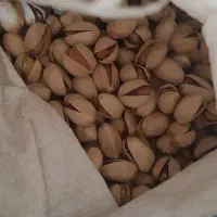 پسته کله قوچی ممتاز دامغان