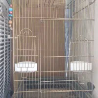 قفس پرنده