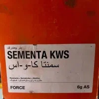 بذر چغندر