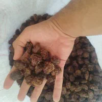 آلوچه خشک