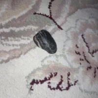 سنگ حجر الجن سنگ شیطان سنگ جن