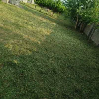 تمشک زنی لوله زنی و نی زنی هرس