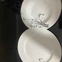 پلو وخورشت خوری با دیس چینی