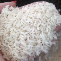 برنج هاشمی  کشت‌دو درجه یک ممتاز فوق اعلا