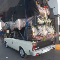وانت تلفنی هادی