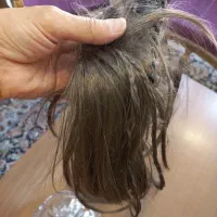 موی ساده داخل چندین بافت داره وصل به کلیپس