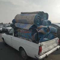 قالیشویی کوروش